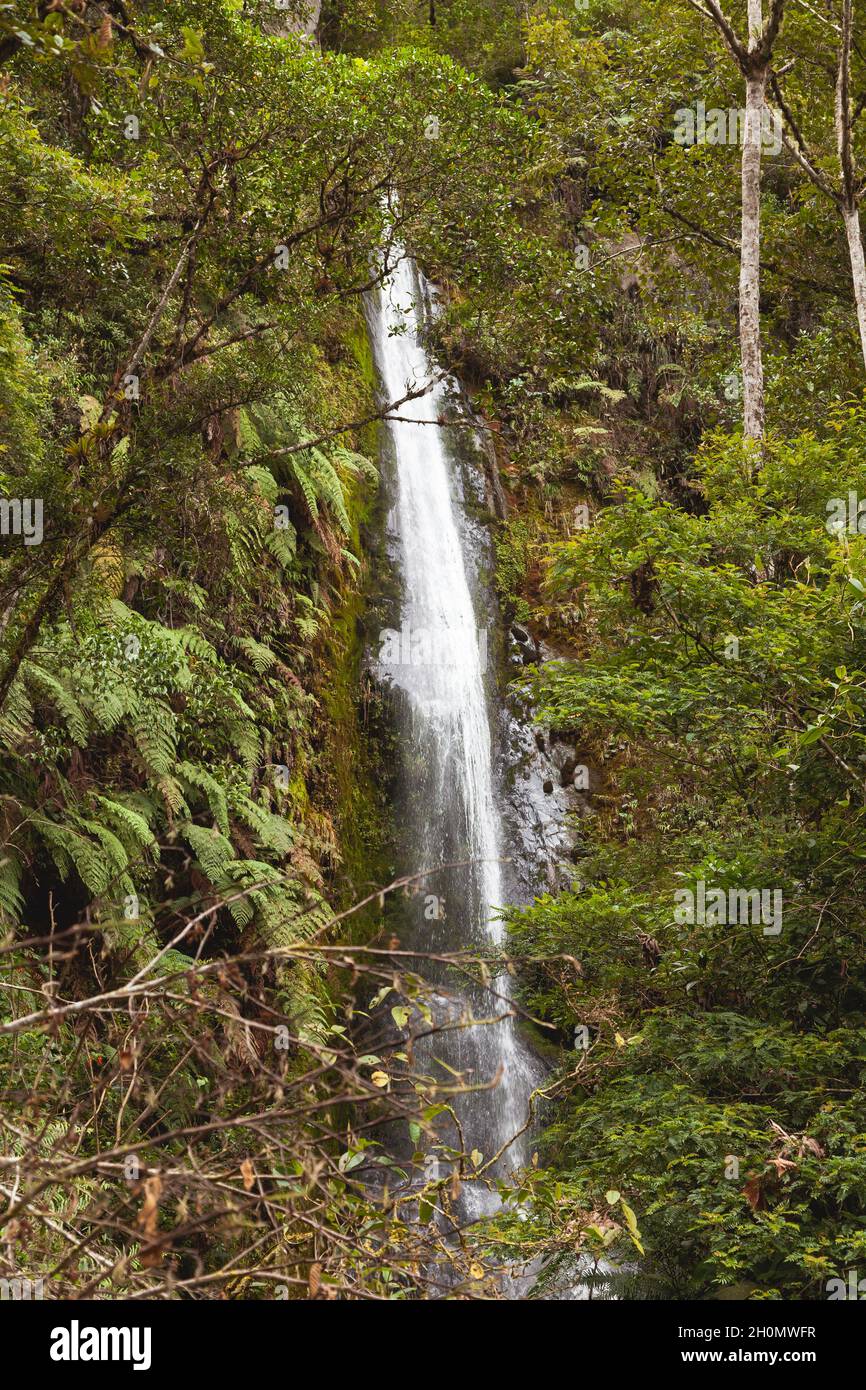 Cascate nascoste tra la foresta amazzonica, vicino al fiume Madre de Dios, nella zona della foresta nuvolosa di ​​Peru e le Ande, Manu National Park, P Foto Stock