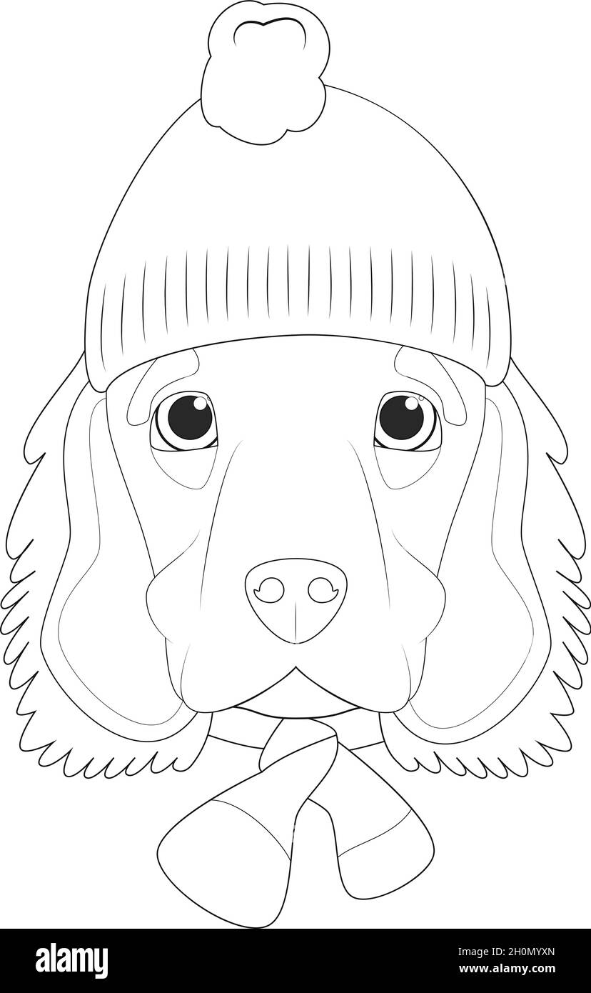 Biglietto di auguri di Natale per la colorazione. Inglese Cocker Spaniel cane che indossa un cappellino di lana per l'inverno Illustrazione Vettoriale