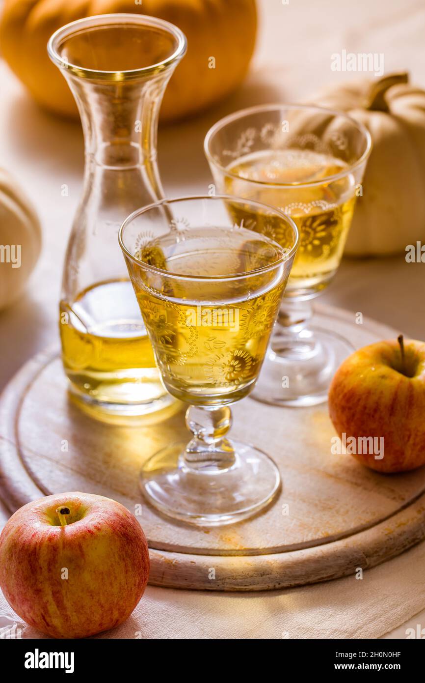 Sidro di mele con mele fresche e zucche per il Ringraziamento e l'autunno Foto Stock