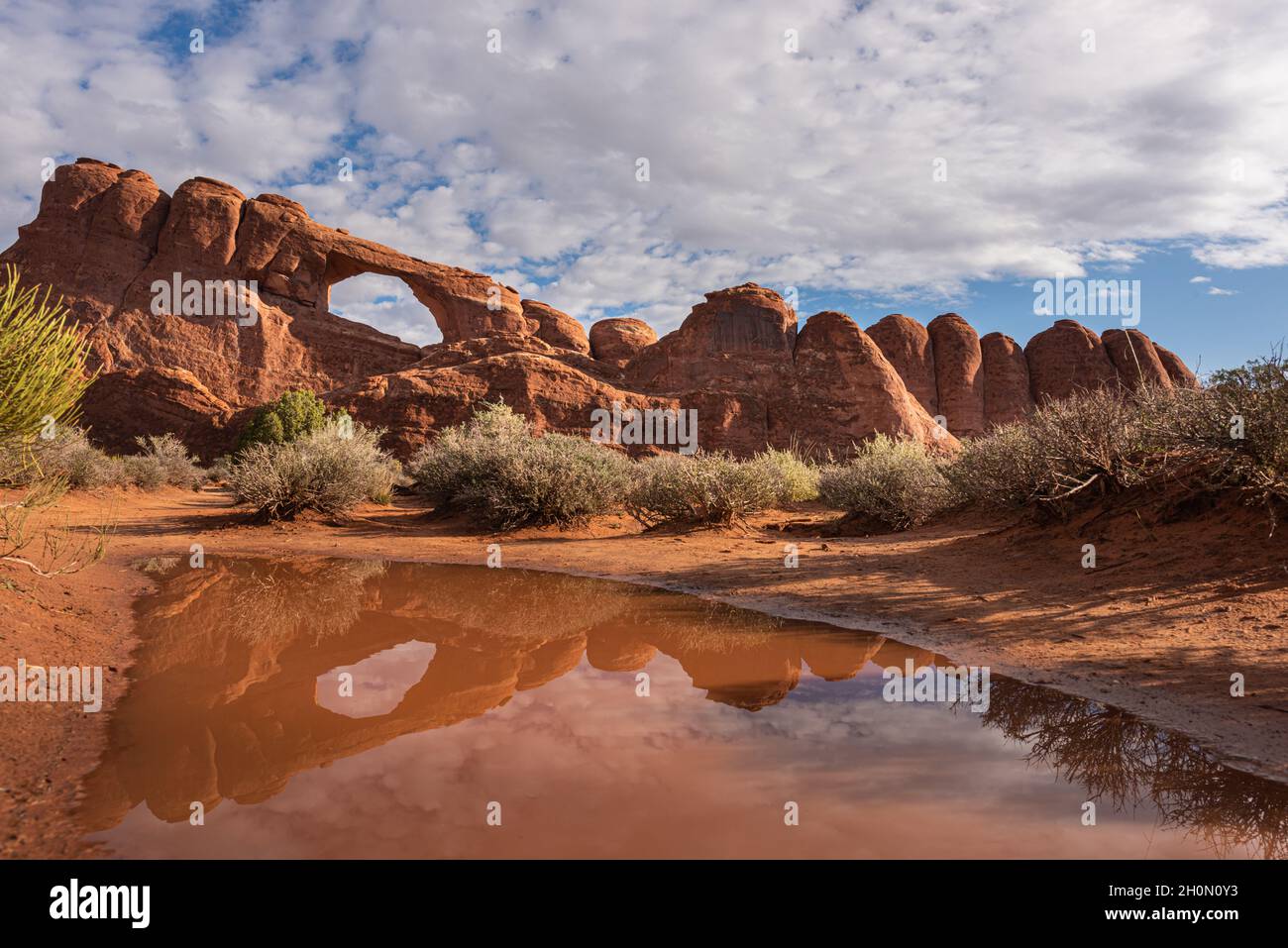 Vedute uniche e rare del paesaggio dello Skyline Arch che si riflette in una pozza di pioggia del deserto, Arches National Park, Utah, sud-ovest americano Foto Stock