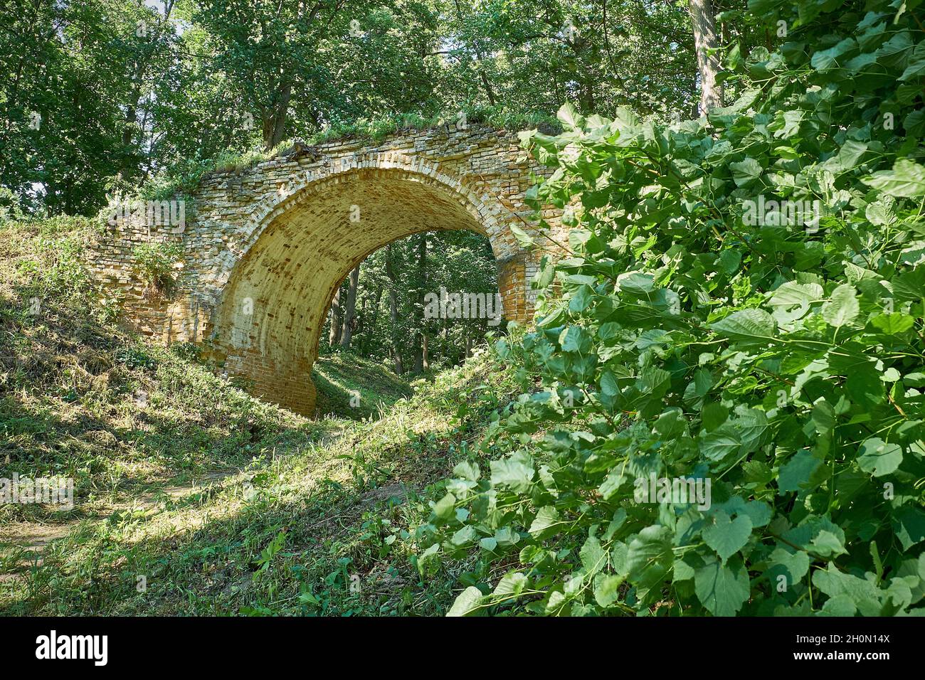 Vecchio ponte ad arco nel parco estivo Foto Stock