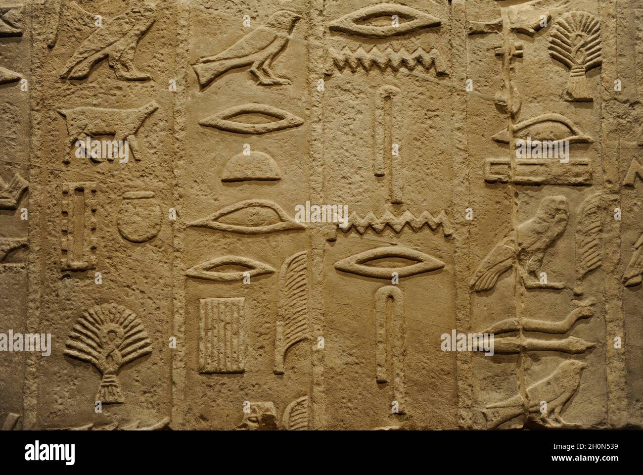 Antico Egitto. Dettaglio delle iscrizioni geroglifiche sulla camera di sepoltura del Methen o Metjen (alto ufficiale). 4 dinastia, c.. 2575 A.C. Calcare. Foto Stock