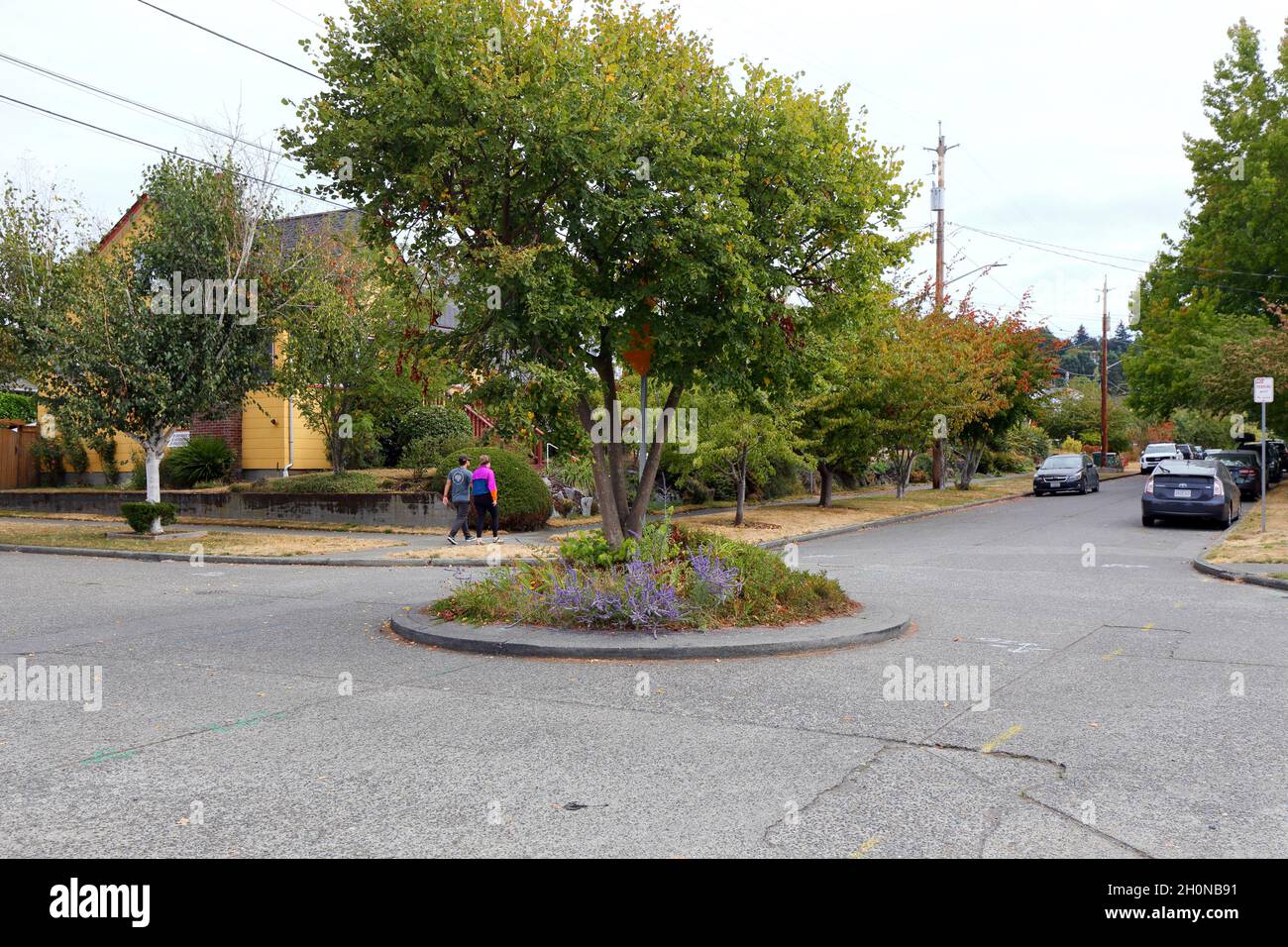 Un cerchio di traffico in un quartiere di Seattle. I cerchi di traffico vengono utilizzati per calmare il traffico e ridurre conflitti e collisioni negli incroci. Foto Stock