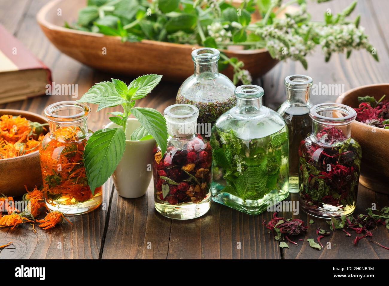 Bottiglie di olio essenziale o infusione di erbe e bacche - calendula, menta, erica, bergamotto monarda, piante curative medicamentose sullo sfondo. Altern Foto Stock