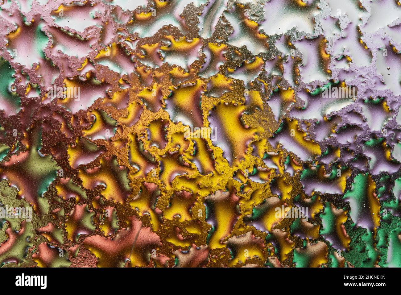 Macroscopio di gocce d'acqua colorate su vetro. Sfondo astratto. Foto Stock