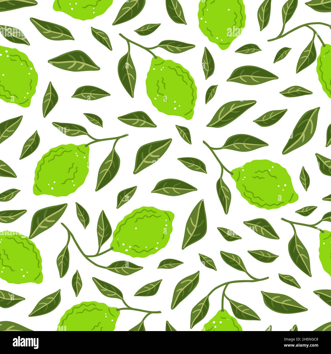 Modello senza cuciture con lime e foglie. Illustrazione vettoriale Illustrazione Vettoriale
