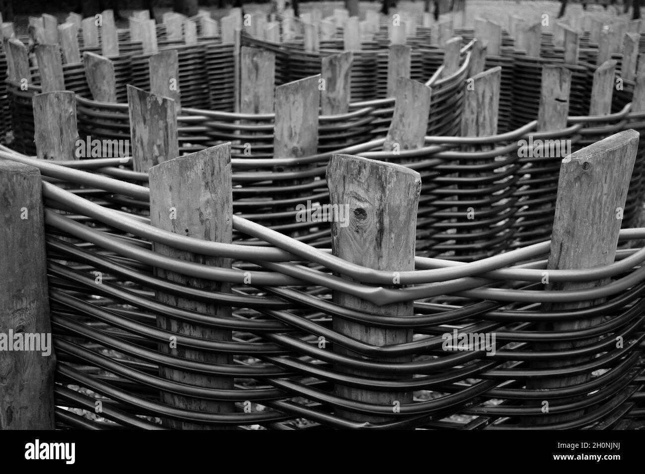 Fuoco selettivo sui pali di recinzione in legno dei tubi di plastica intrecciati. Tubi idraulici in polipropilene in design paesaggistico. Sfondo astratto. Immagine in bianco e nero. Foto Stock