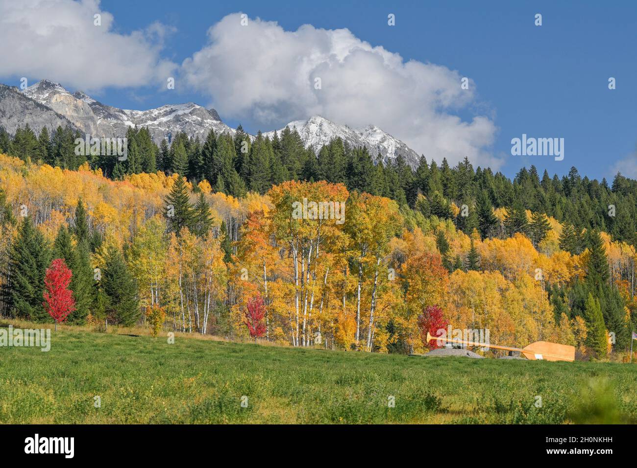 Più grande del mondo di pagaia di mano, Parson (vicino a Golden) Columbia Valley, British Columbia, Canada Foto Stock