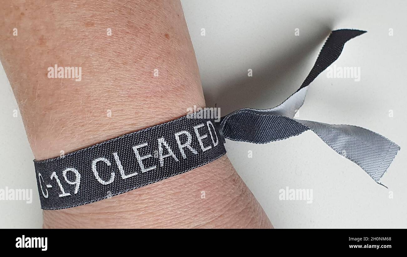 All'estero Con Cani, Gatti E Furetti? Serve Il Passaporto Sanitario - Foto 7