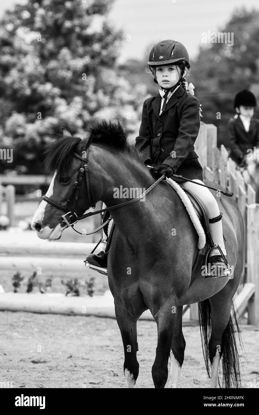 La ragazza si siede in cima a un cavallo mentre cavalca in spettacolo equestre Foto Stock