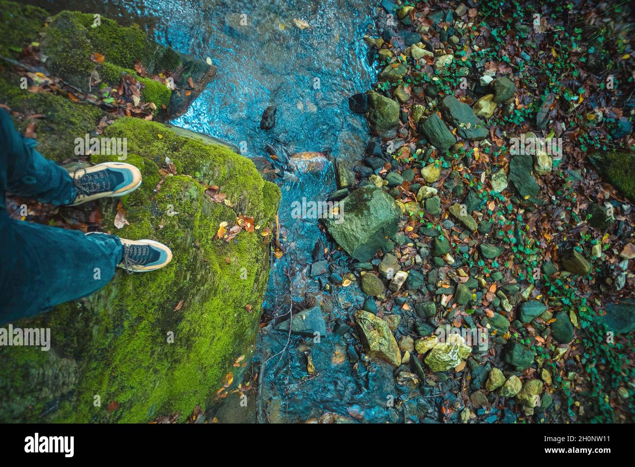 Uomo irriconoscibile in piedi su una roccia coperta di muschio dal flusso d'acqua nella foresta Foto Stock