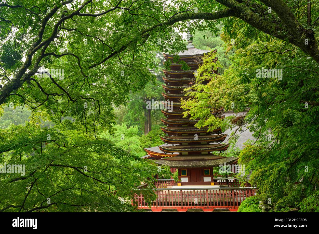 Nara, Giappone - 01 luglio 2019: Santuario di Tanzan Jinja 13 pagoda, l'unica esistente, Nara, Giappone. Foto Stock