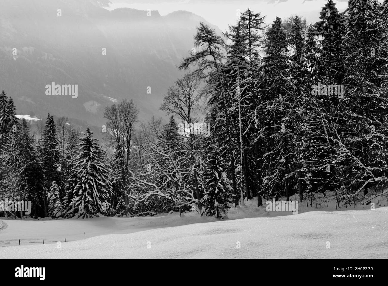 Villars-sur-Ollon, Svizzera Foto Stock