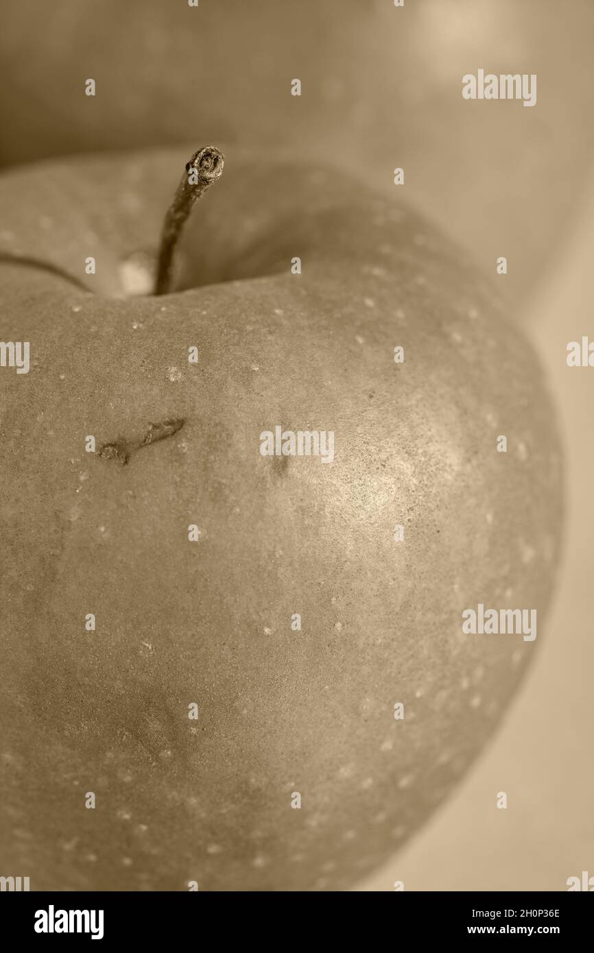 Razor Russets, una varietà di mele heirloom. Foto Stock