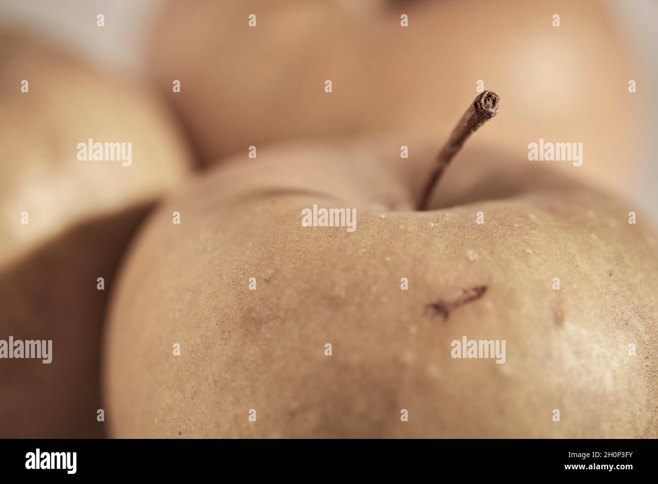 Razor Russets, una varietà di mele heirloom. Foto Stock
