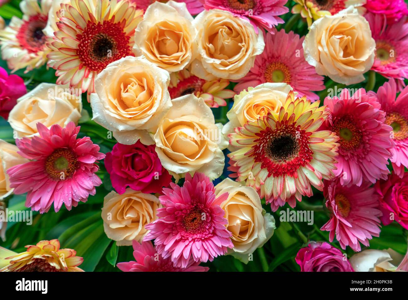 Crisantemi e rose sono artisticamente decorati come regali, congratulazioni, compleanni, matrimoni, portando gioia alla gente. Foto Stock