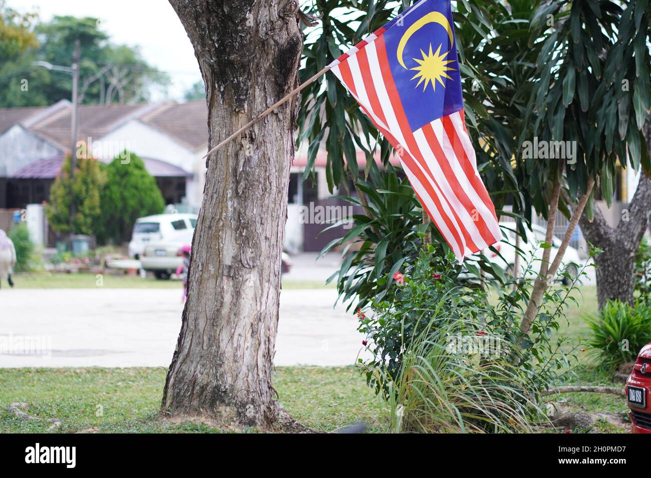 Una bandiera della Malesia era legata ad un albero in congiunzione con il mese di indipendenza della Malesia. La festa nazionale. Gantung Bendera Foto Stock