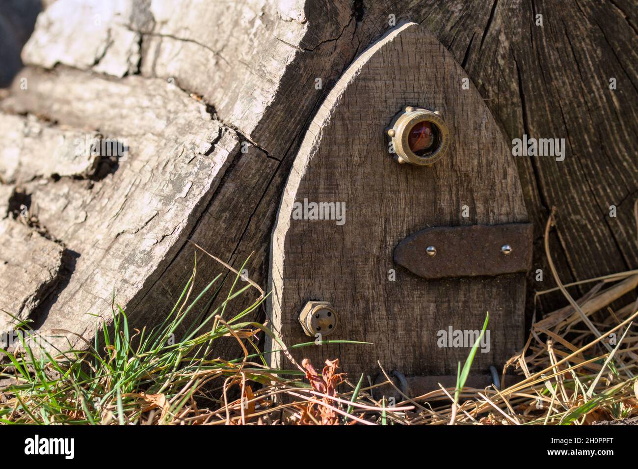 Piccola porta in legno in miniatura costruita in un ceppo per fate o creature mitiche, Regno Unito Foto Stock