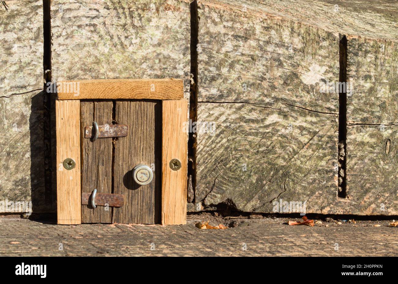 Piccola porta in legno in miniatura costruita in un ceppo per fate o creature mitiche, Regno Unito Foto Stock