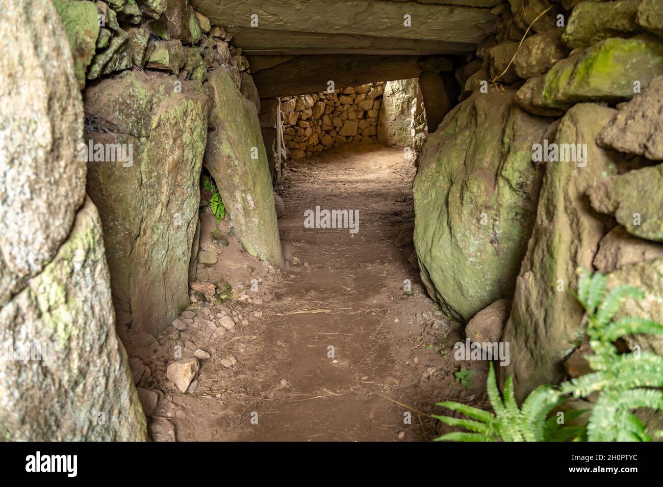 Dolmen von Grah-Niol bei Arzon, Bretagne, Frankreich | Allée couverte du Grah-Niol vicino Arzon, Bretagna, Francia Foto Stock
