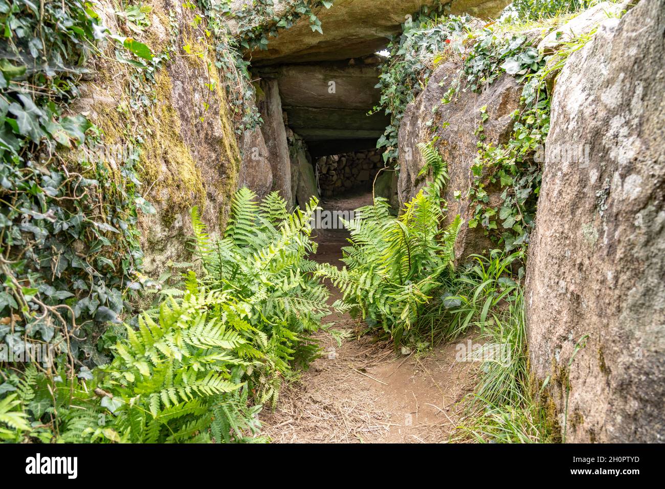 Dolmen von Grah-Niol bei Arzon, Bretagne, Frankreich | Allée couverte du Grah-Niol vicino Arzon, Bretagna, Francia Foto Stock