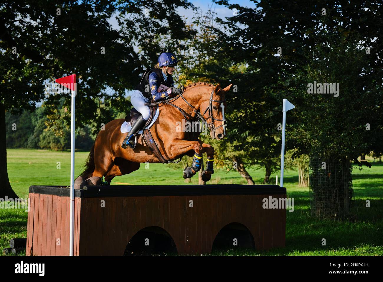 Prove a cavallo di Weston Park 2021 Foto Stock