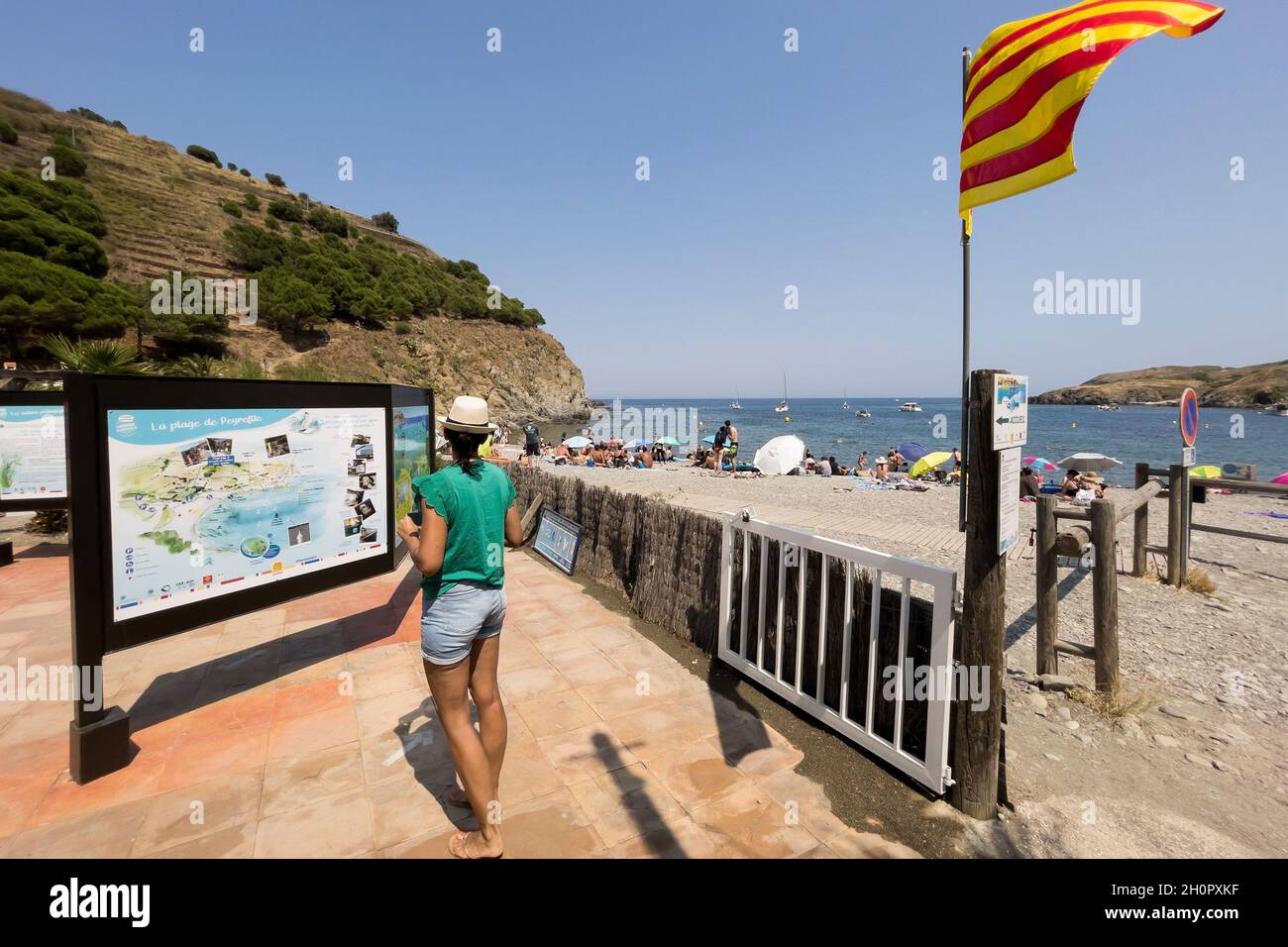 Cerbere (Francia meridionale): Spiaggia di Peyrefite Foto Stock