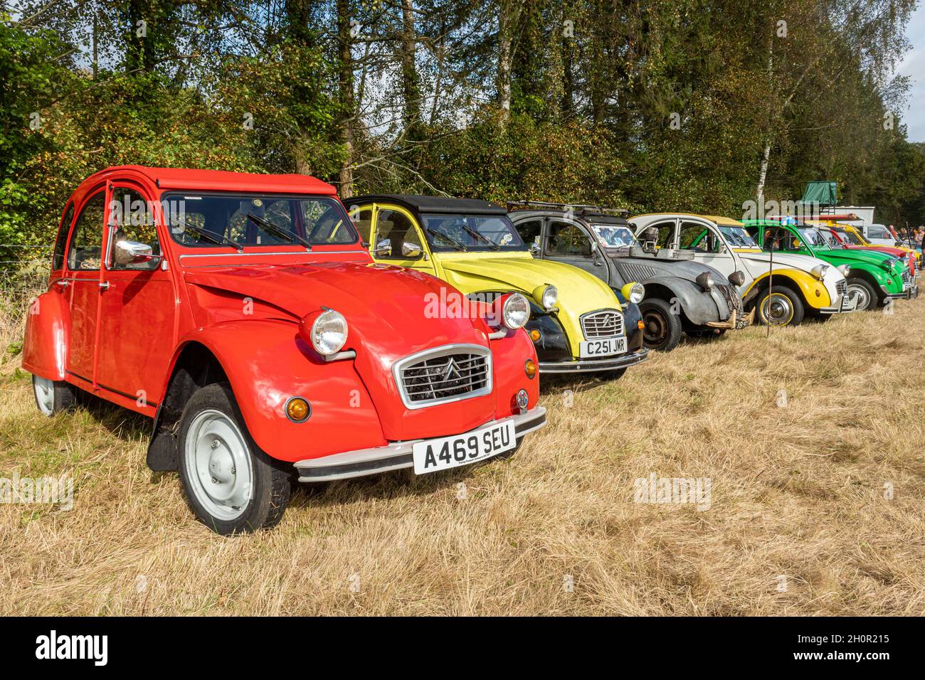 Fila di Citroen 2CV auto parcheggiate in un evento in Hampshire, Regno Unito Foto Stock