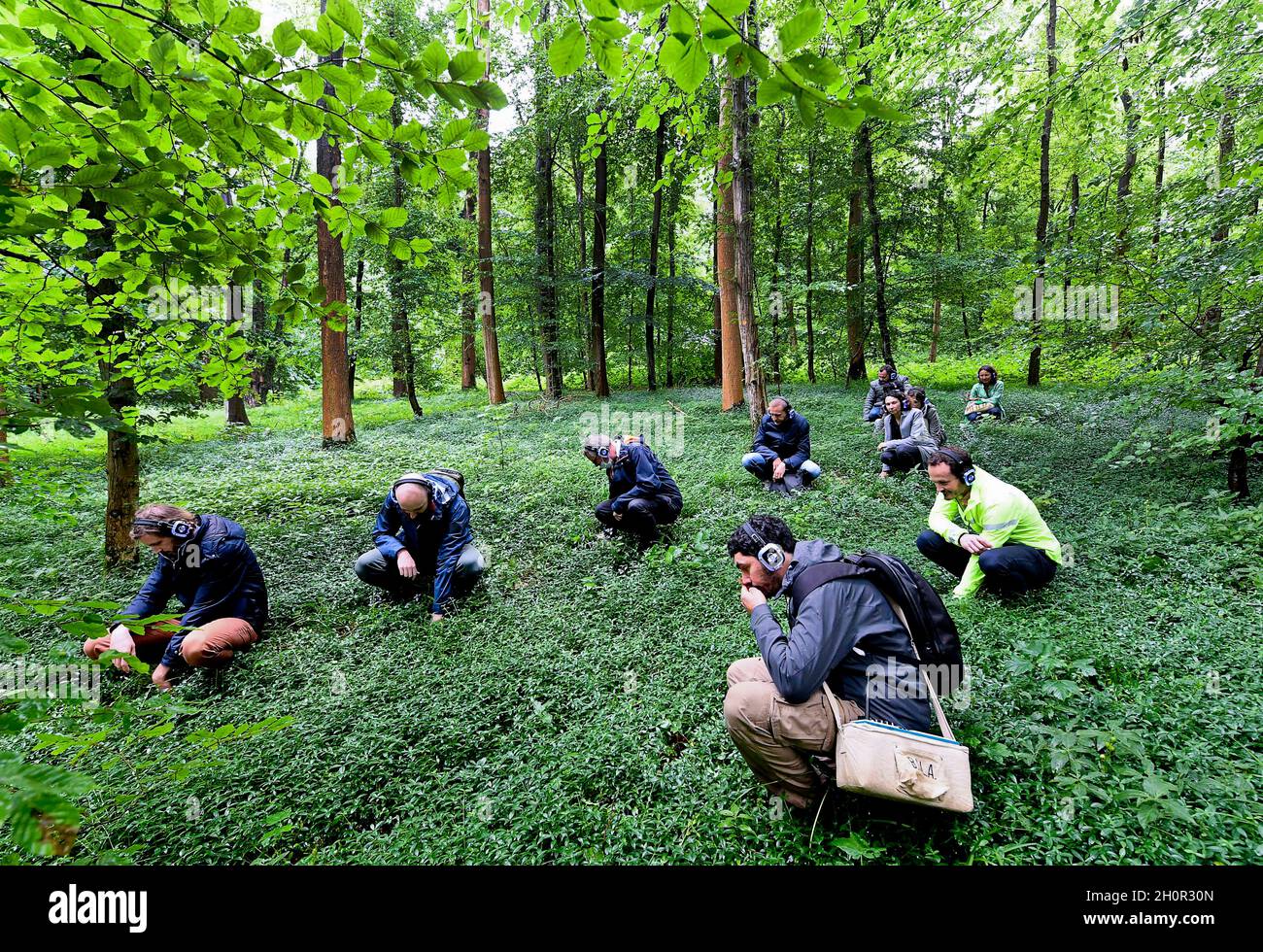 Passeggiata artistica attraverso la Foresta di Olhain (Francia settentrionale): Sentiero sensoriale per gli spettatori che indossano cuffie in mezzo agli alberi e la natura, org Foto Stock