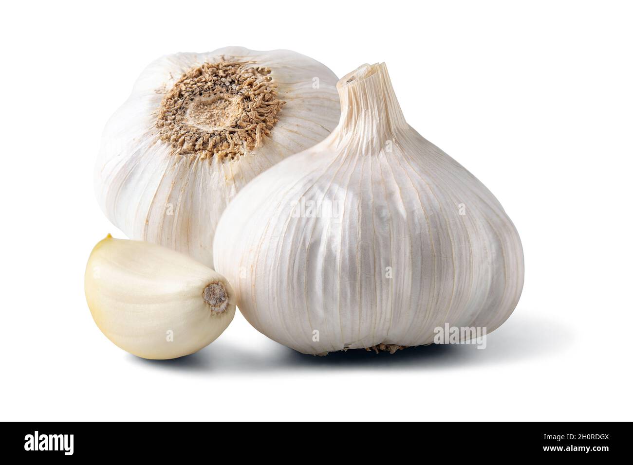Bulbo d'aglio intero isolato su sfondo bianco. Concetto minimo di cibo. Foto Stock