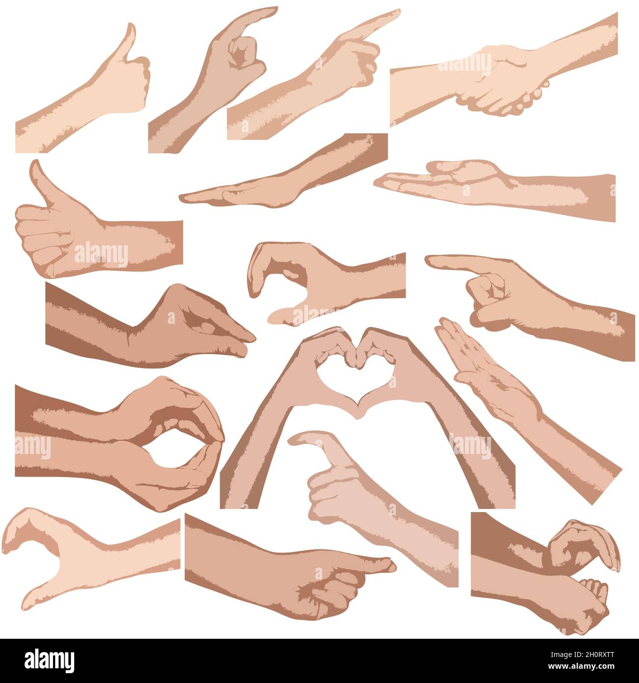 Set di mani vettoriali isolato sfondo bianco Illustrazione Vettoriale