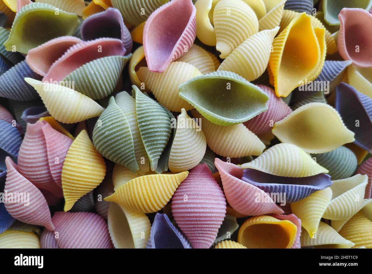 Primo piano su una pila di colorate conchiglie venete in Italia. Foto Stock