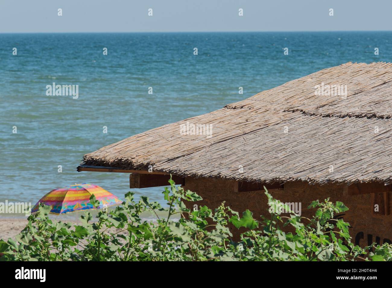 Acqua di canna di bambù immagini e fotografie stock ad alta risoluzione -  Alamy