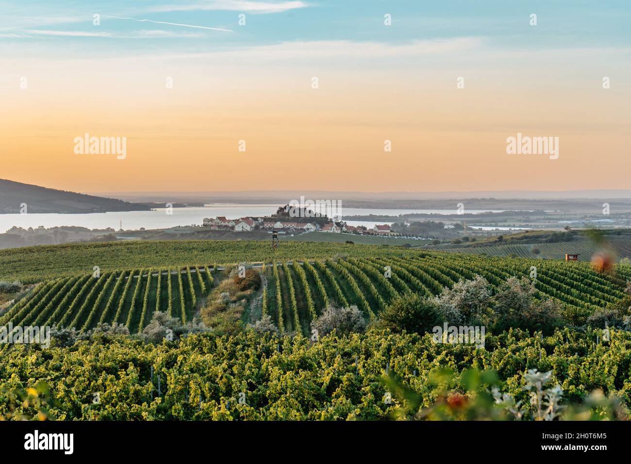 Vigneto autunno paesaggio nel sud della Moravia, Repubblica Ceca. Filari di vigneti, cielo tramonto, villaggio Zajeci e nove Mlyny serbatoio in backgroun Foto Stock
