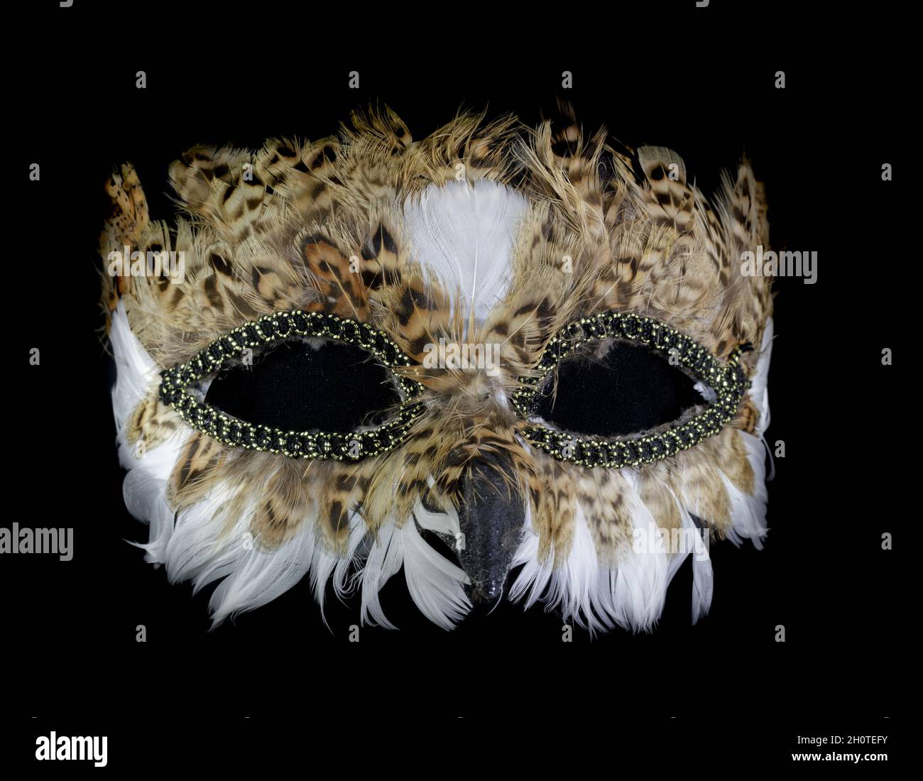 Maschera di gufo marrone isolato contro sfondo nero Foto Stock