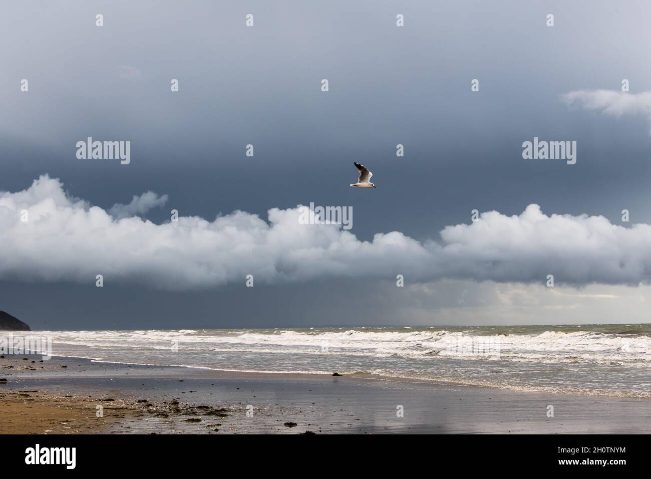 seagull sorvola una nuvola alle onde dell'oceano Foto Stock