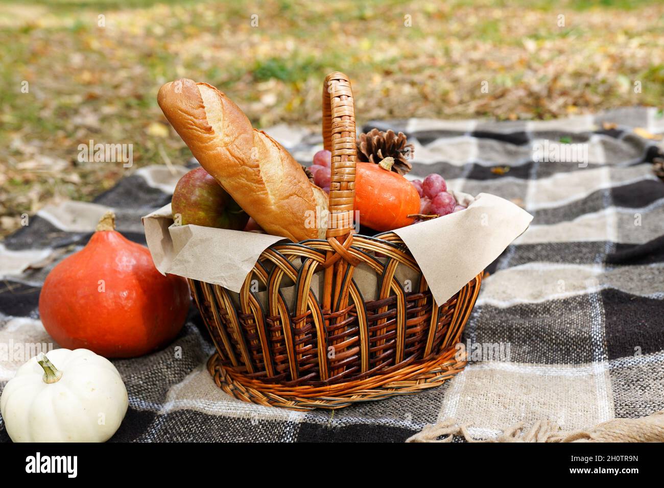 picnic nella foresta autunnale con pane, zucche, frutta nel cestino. vacanza autunnale Foto Stock