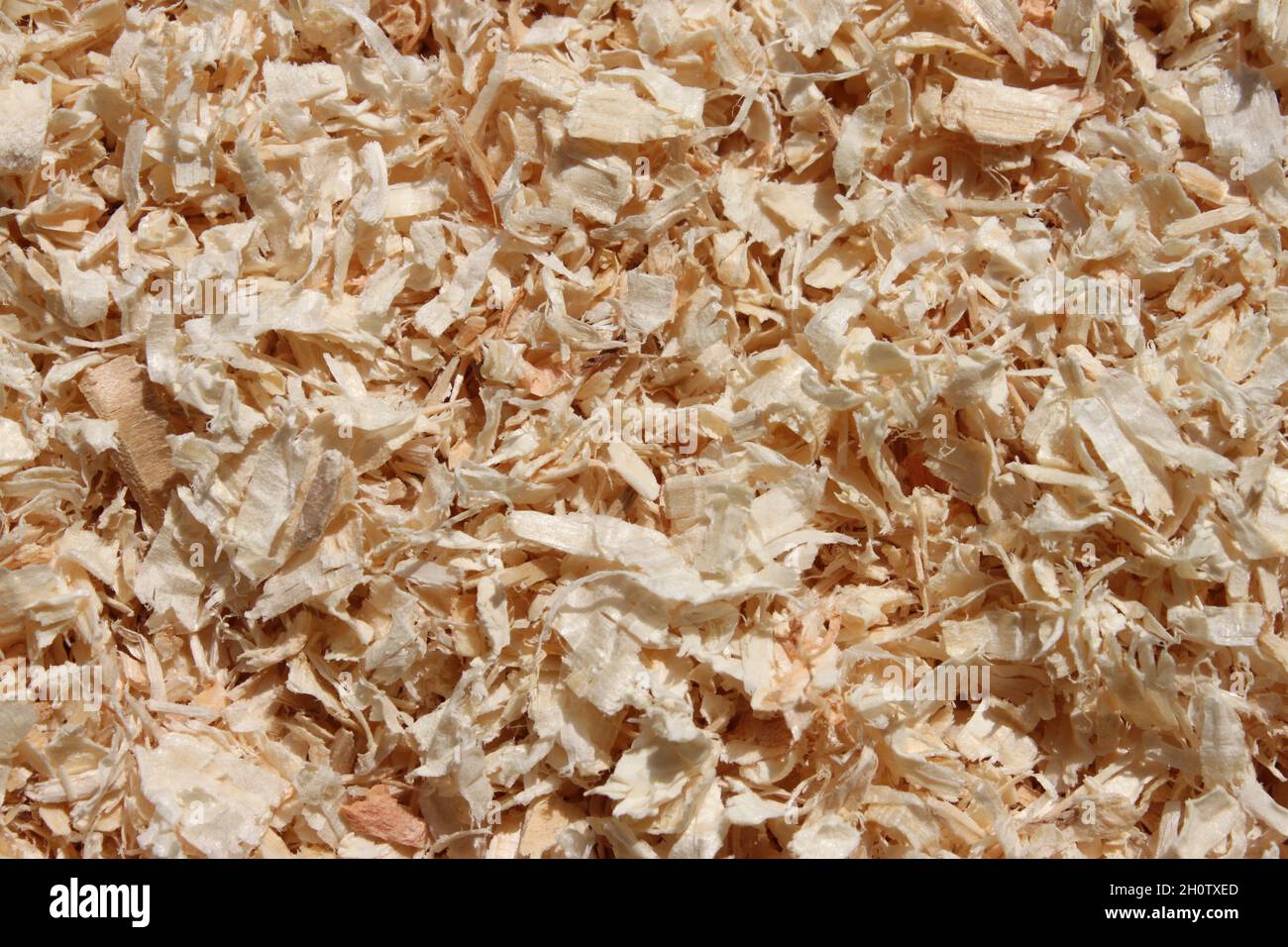 segatura marrone chiaro come biancheria da letto Foto Stock