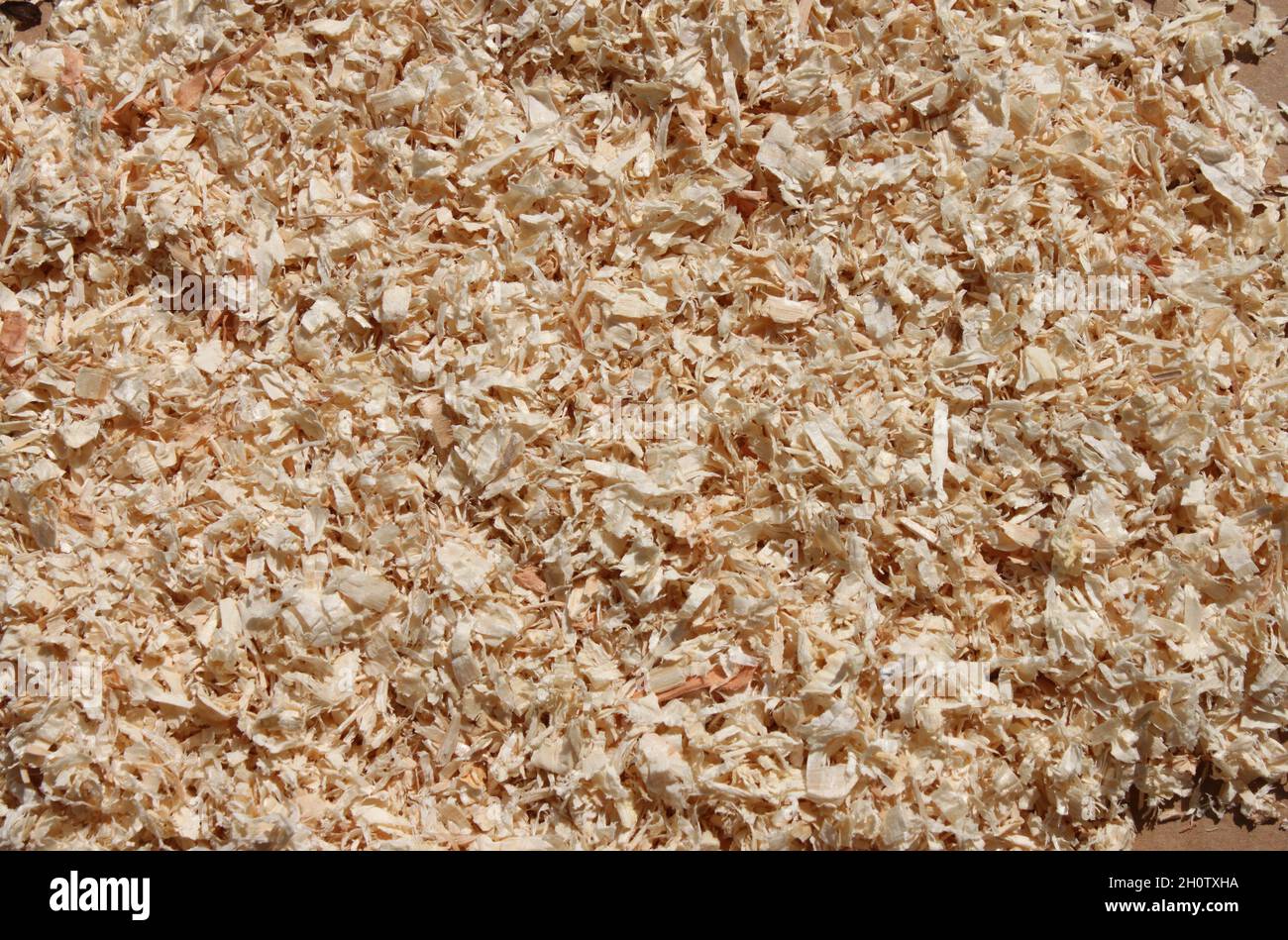 segatura marrone chiaro come biancheria da letto Foto Stock