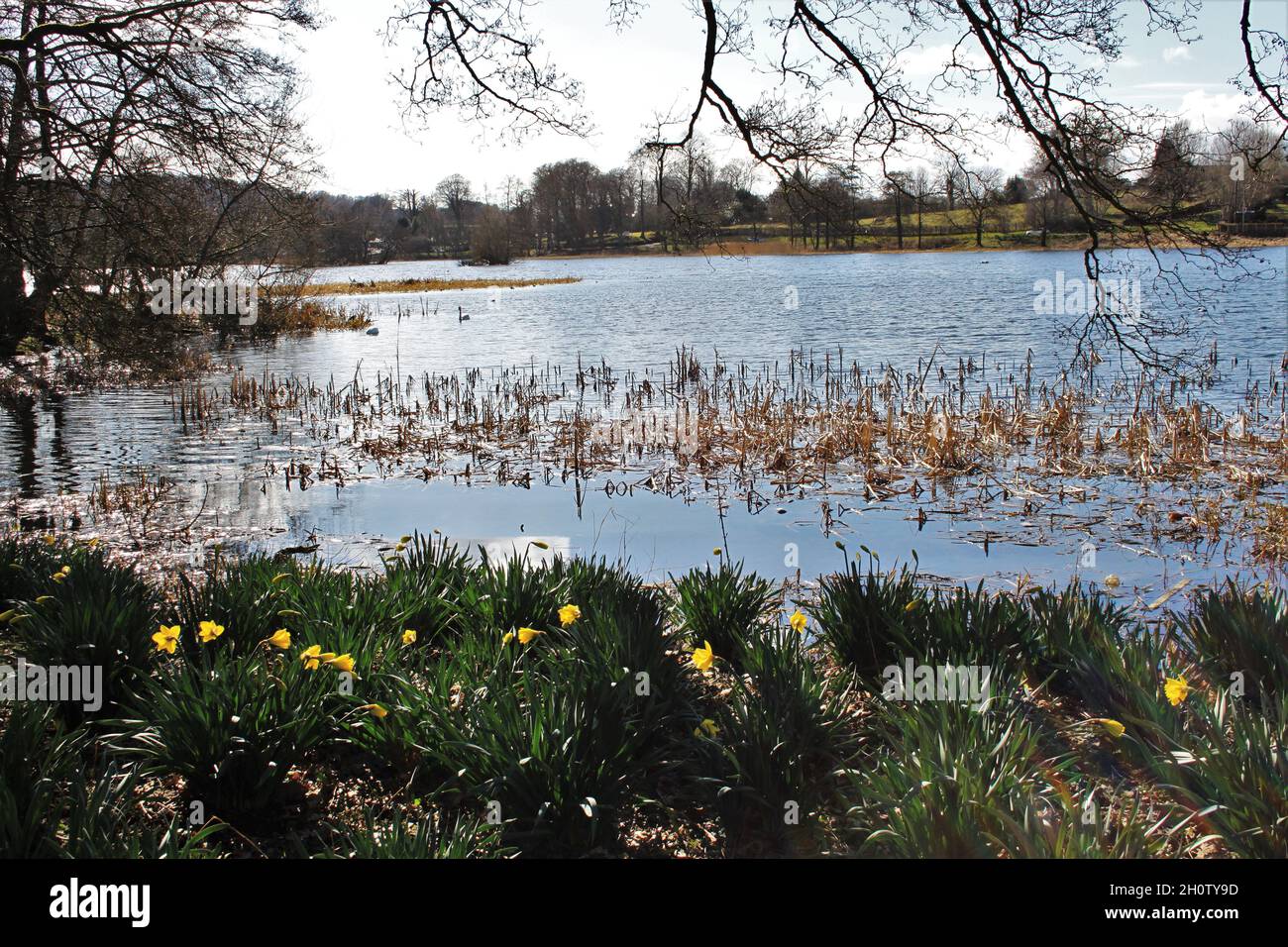 Carlingwark Loch - Scozia Foto Stock