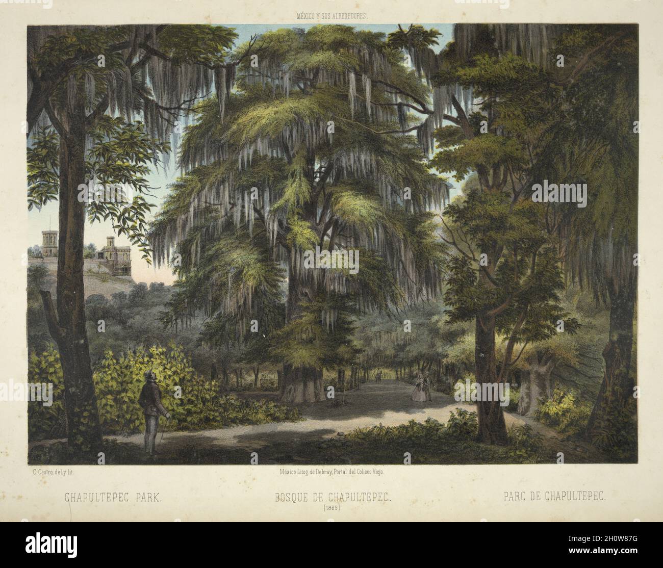 Litografia di Bosque de Chapultepec o Chapultepec Park 1869 l Foto Stock