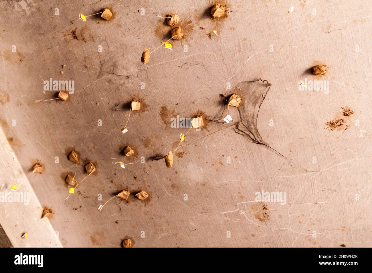 Bustine di tè appiccicate su un soffitto Foto Stock