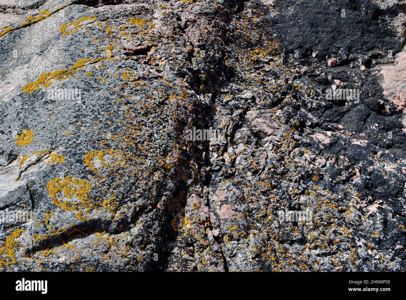 Formazioni rocciose su un'isola dell'arcipelago di Fjällbacka, sulla costa occidentale della Svezia Foto Stock