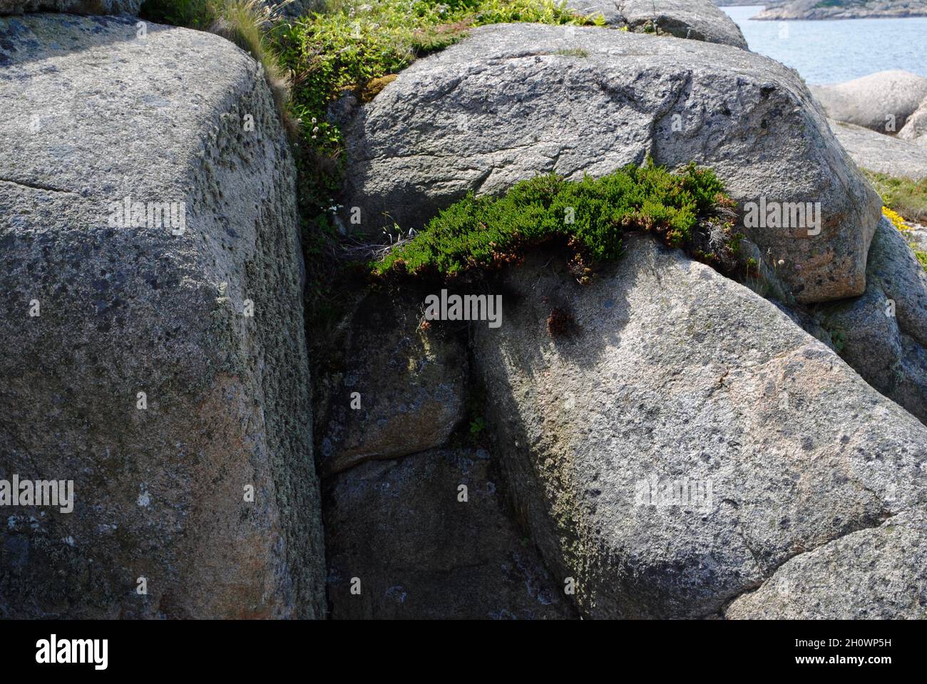 Formazioni rocciose su un'isola dell'arcipelago di Fjällbacka, sulla costa occidentale della Svezia Foto Stock