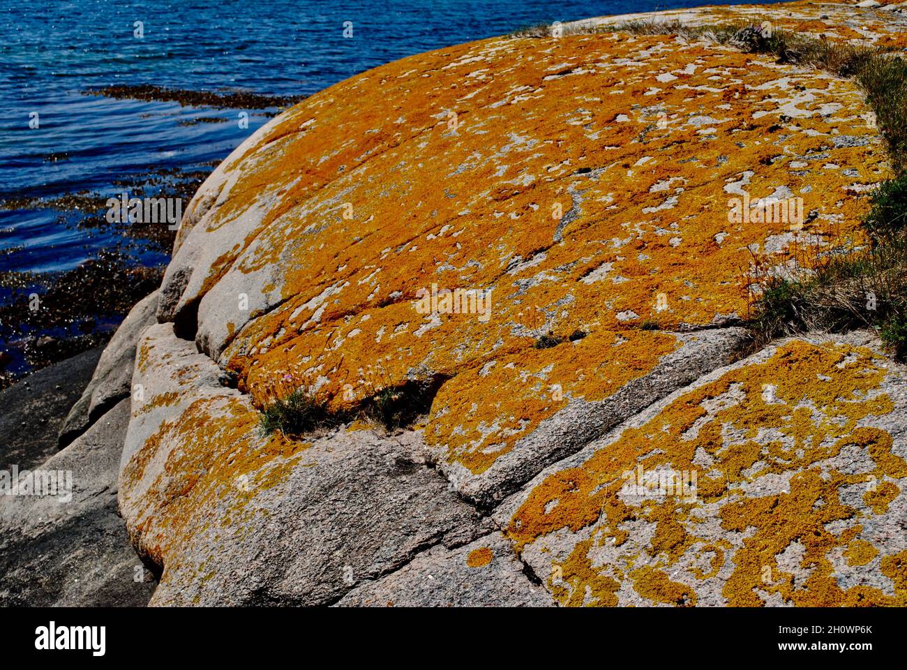 Formazioni rocciose su un'isola dell'arcipelago di Fjällbacka, sulla costa occidentale della Svezia Foto Stock