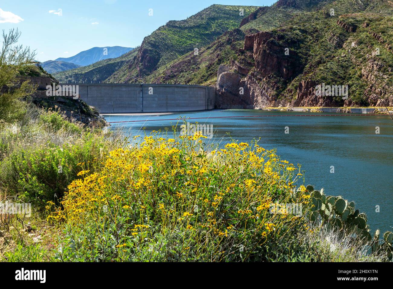 Diga di Roosevelt in primavera. Fiori di campo di Theodore Roosevelt Dam con fiori di boscaglia giallo in primo piano. Riserva di Salt River nel deserto. Foto Stock
