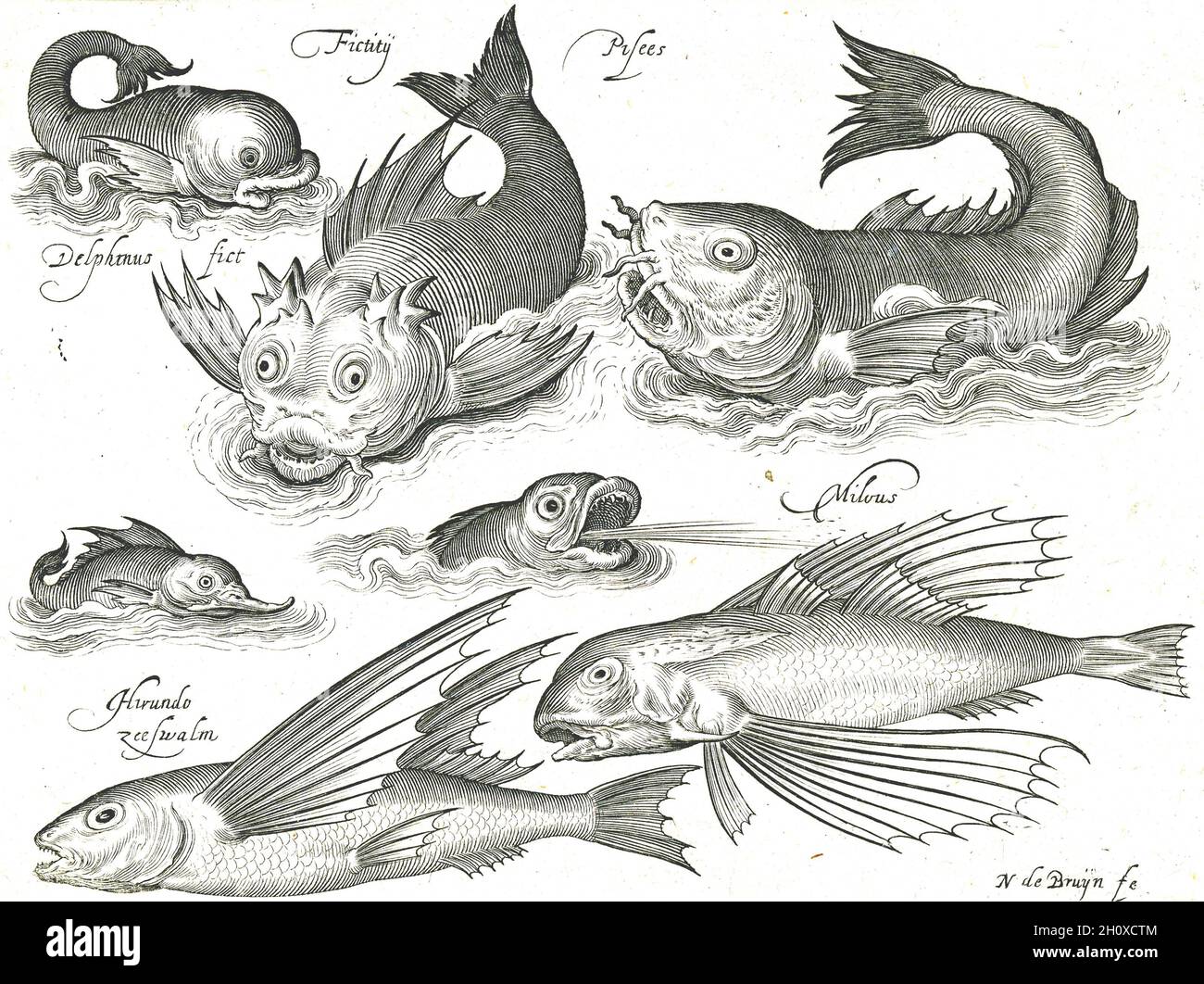 Nicolaes de Bruyn - cinque pesci mitici, tra cui un delfino mitico (stilizzato), e due pesci volanti - c1594 Foto Stock