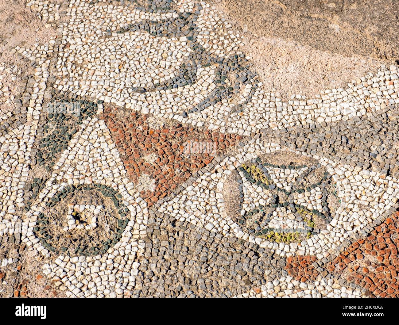 Sito archeologico di Agios Georgios Pegeia, regione di Paphos, Cipro. Foto Stock