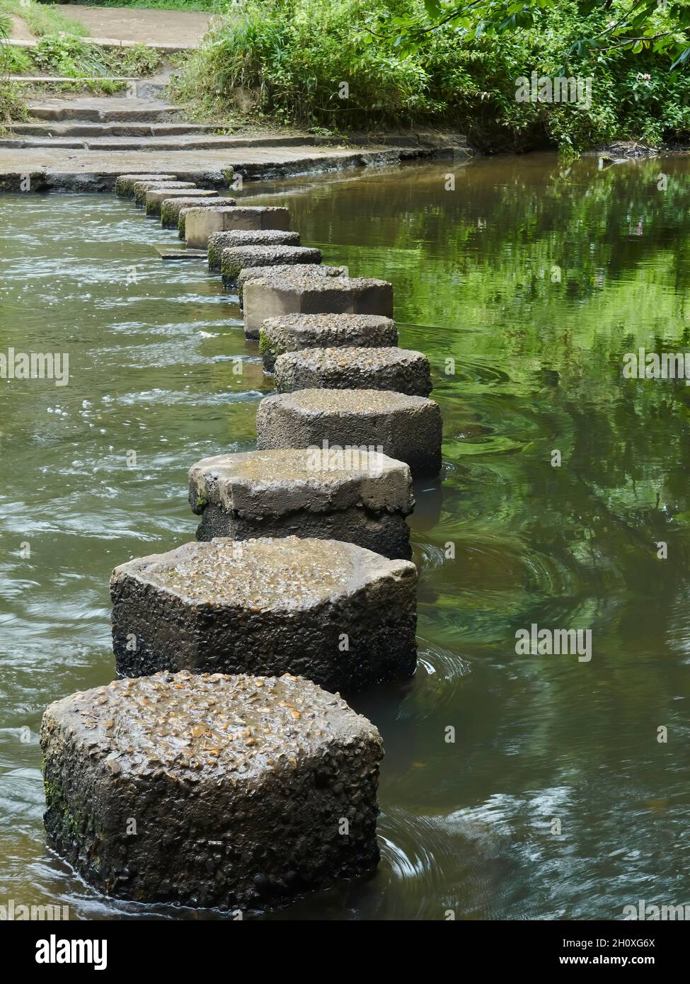 Da vicino, vista a livello basso di pietre che attraversano il fiume Mole ai piedi di Box Hill, che segna la strada attraverso le acque cristalline e alberate. Foto Stock