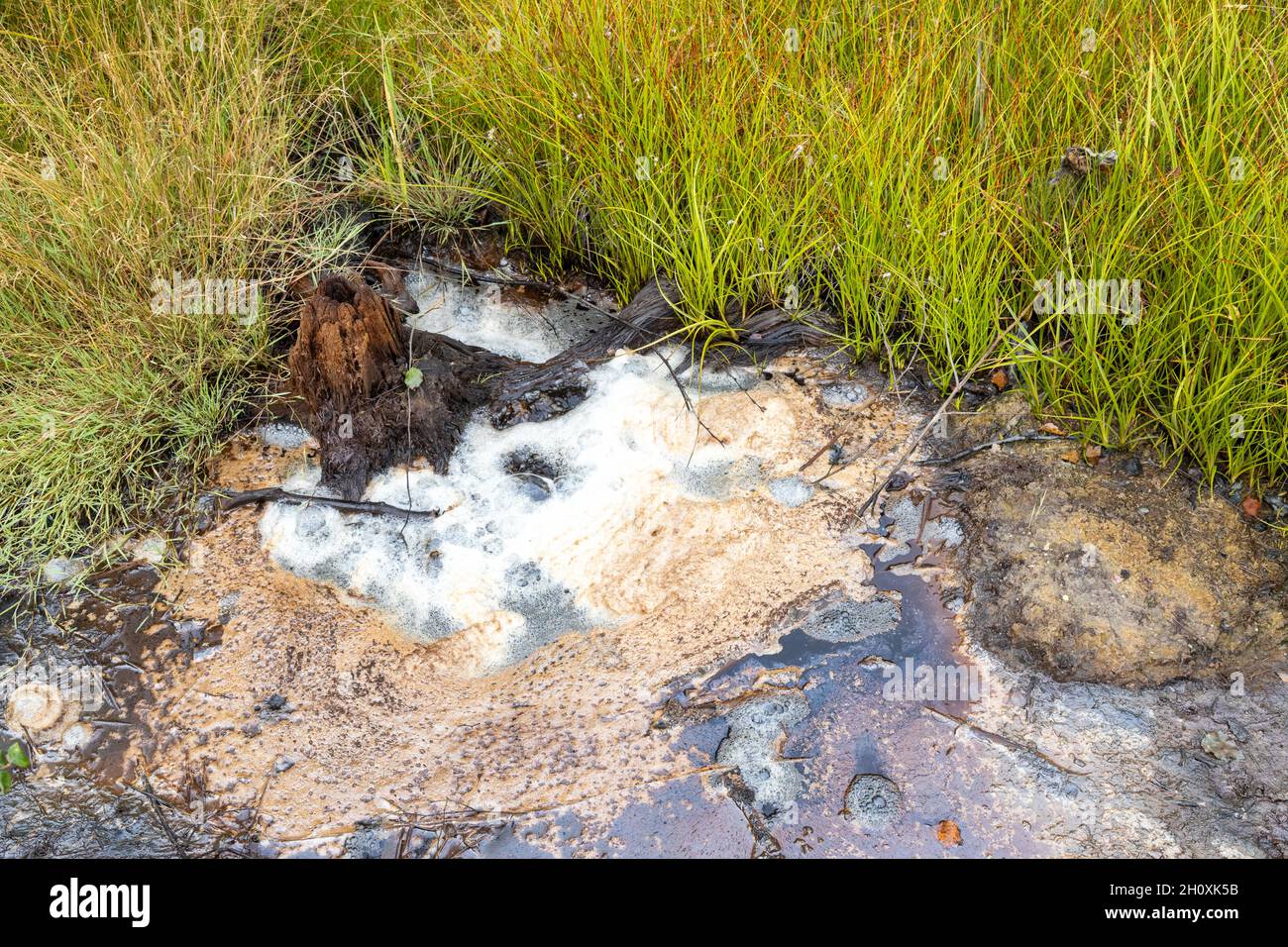 narodni prirodni rezervace Geopark SOOS, Karlovarsky kraj, Ceska republika / National Natural Reserve SOOS, Western Boemia, repubblica Ceca Foto Stock